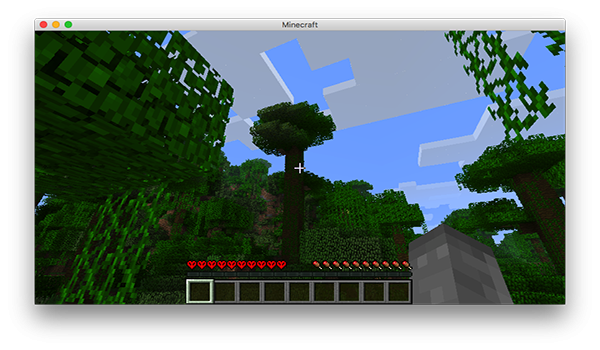 Minecraft for mac