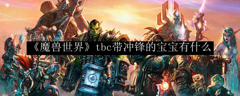 《魔兽世界》tbc带冲锋的宝宝有什么