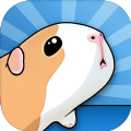 guinea pig bridge修改版