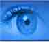网眼监控软件（企业/家庭） 16.3.0 正式版
