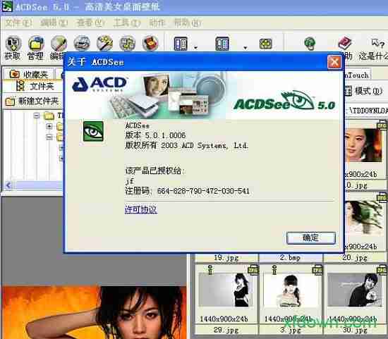 acdsee 5.0下载